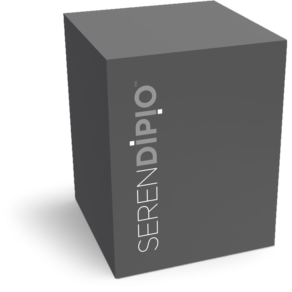 Serendipio Sheridan Stainless Steel Vacuum Tumbler - 300ml - Image 5